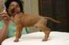 img_8672_small.jpg