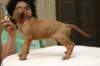img_8673_small.jpg