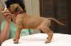 img_8675_small.jpg