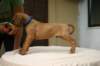 img_8711_small.jpg
