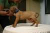 img_8713_small.jpg