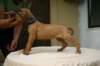 img_8714_small.jpg