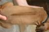 img_8730_small.jpg