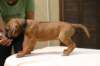 img_8735_small.jpg
