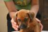 img_8755_small.jpg