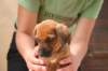 img_8761_small.jpg