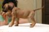img_8770_small.jpg