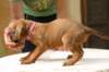 img_8815_small.jpg