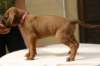 img_8816_small.jpg