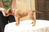 img_8817_small.jpg