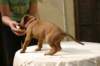 img_8818_small.jpg