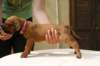 img_8820_small.jpg