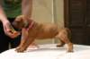 img_8823_small.jpg