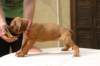 img_8824_small.jpg