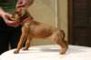 img_8826_small.jpg