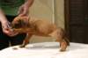 img_8827_small.jpg