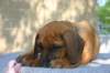 img_8889_small.jpg