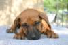 img_8890_small.jpg