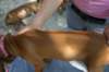 img_8900_small.jpg