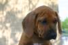 img_8937_small.jpg