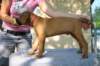 img_9061_small.jpg