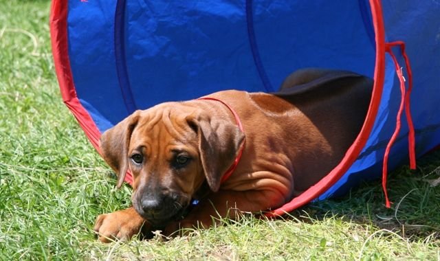 _20070706.jpg
