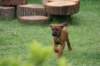 _2007070611_small.jpg