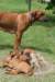 _200707067_small.jpg