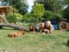 abschied041_small.jpg