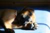 bild002_small.jpg