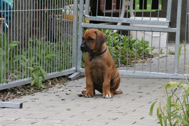bild004.jpg