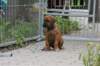 bild004_small.jpg