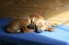 bild006_small.jpg