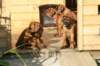 bild008_small.jpg