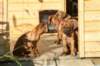 bild010_small.jpg