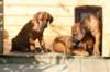 bild011_small.jpg
