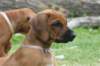 bild013_small.jpg