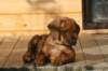 bild015_small.jpg
