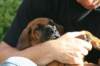 bild018_small.jpg