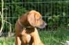 bild019_small.jpg