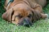 bild022_small.jpg