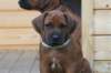 bild023_small.jpg