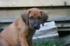 bild024_small.jpg
