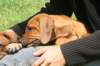 bild026_small.jpg