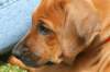 bild027_small.jpg