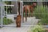 bild028_small.jpg