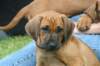 bild030_small.jpg