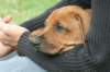 bild031_small.jpg