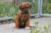 bild034_small.jpg