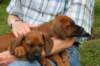 bild036_small.jpg